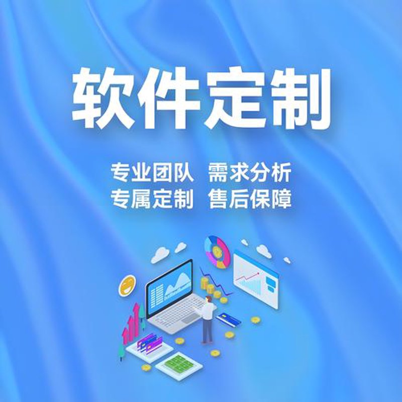智能化定制开发:让企业运营如虎添翼